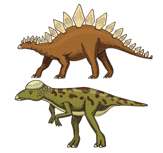 Dinozaur Szeroki Szkielet Jaszczurki Skamieniałości Prehistoryczne Gady Zwierzę Ręcznie Rysowane Wektor Starożytne Zwierzę Dino