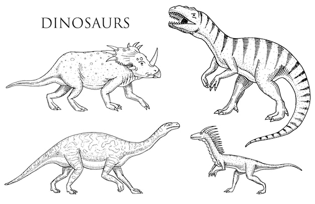 Dinozaury Tyrannosaurus Rex Velociraptor Ceratosaurus Afrovenator Megalosaurus Tarbosaurus Struthiomimus Szkielety Skamieniałości Prehistoryczne Gady Zwierzęta Grawerowane Ręcznie Rysowane Wektor