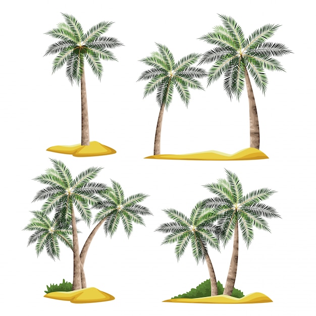 Dłonie drzewa na plaży