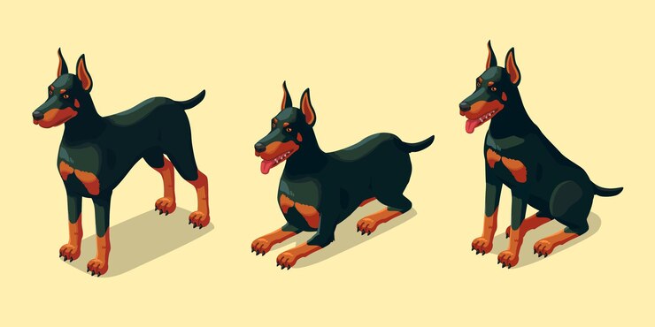 Dobberman Dog Isometric Bundle Stand Leżeć i siedzieć