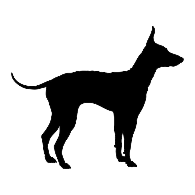 Plik wektorowy dog american hairless terrier sylwetka ras psów logo wektor monogramu psa