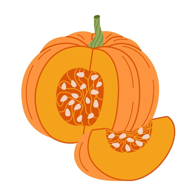 Dojrzały pomarańczowy naciśnięty dyni ręcznie narysowany płaski styl zbiorów Święto Dziękczynienia Halloween