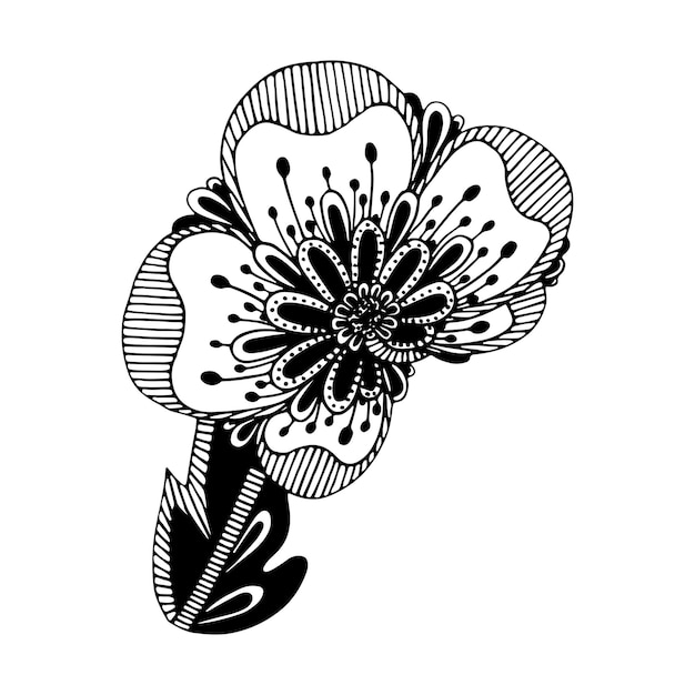Doodle Fantasy Kwiat Liniowa Ilustracja Botaniczna Florystyczna Szkic Grafiki Kolorowanki Strona