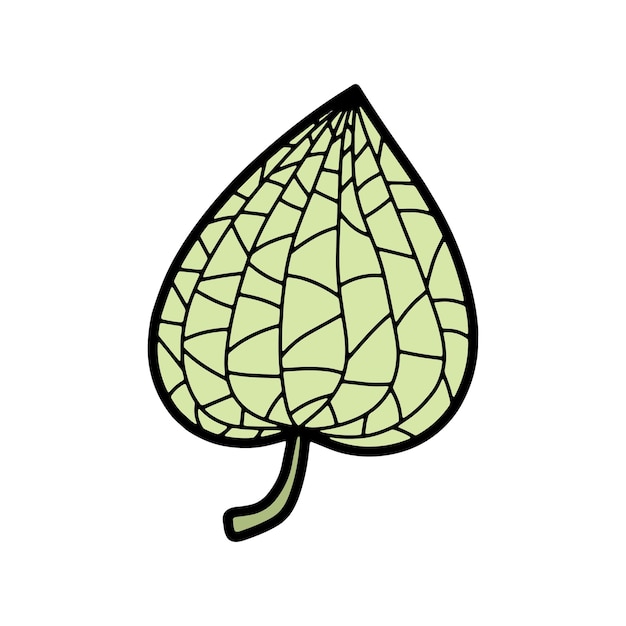 Plik wektorowy doodle ilustracji wektorowych kolorowe physalis owoc