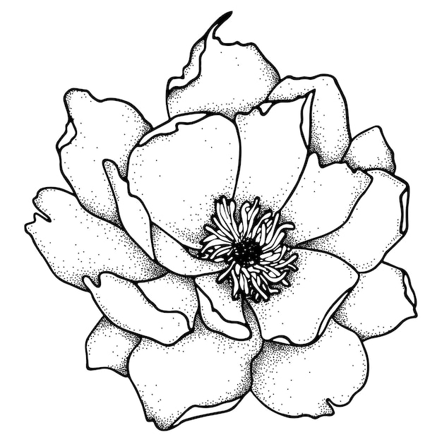 Plik wektorowy doodle kwiat kamelii