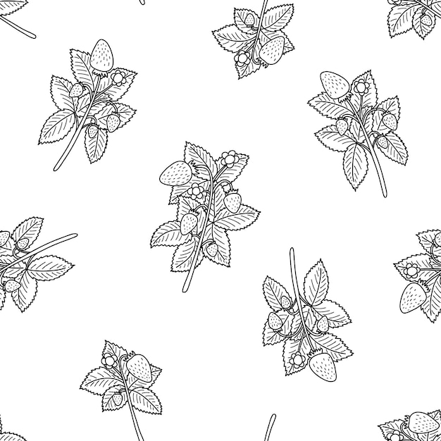 Doodle truskawka wzór na białym tle naszkicowane jagody z liśćmi liniowe czarno-białe tapety do projektowania tkanin tkanina obejmuje papier pakowy i scrapbooking