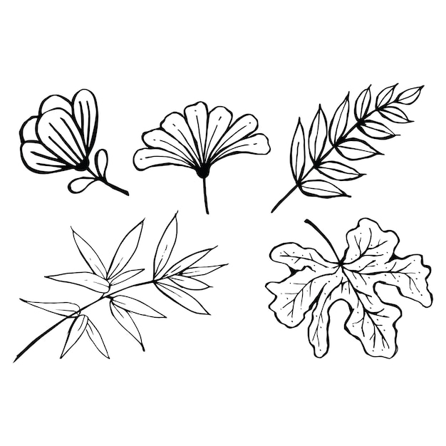 Doodle zestaw czarno-białych liści