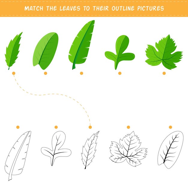 Plik wektorowy dopasuj liście do ich konturów. pytanie dotyczące logicznego myślenia i rozwoju intelektualnego