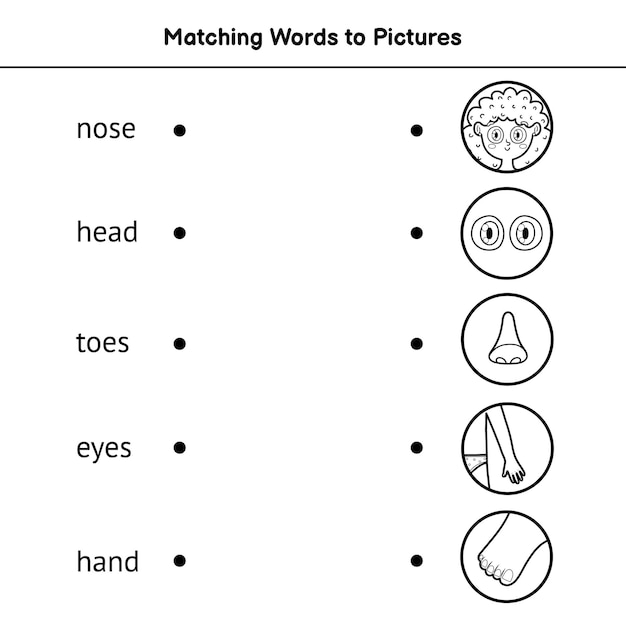 Dopasuj Słowa Do Obrazków Kolorowanki. Naucz Się Czytać Czarno-białą Grę Dopasowania. Połącz Słowa Ze Stroną Aktywności Obrazów.