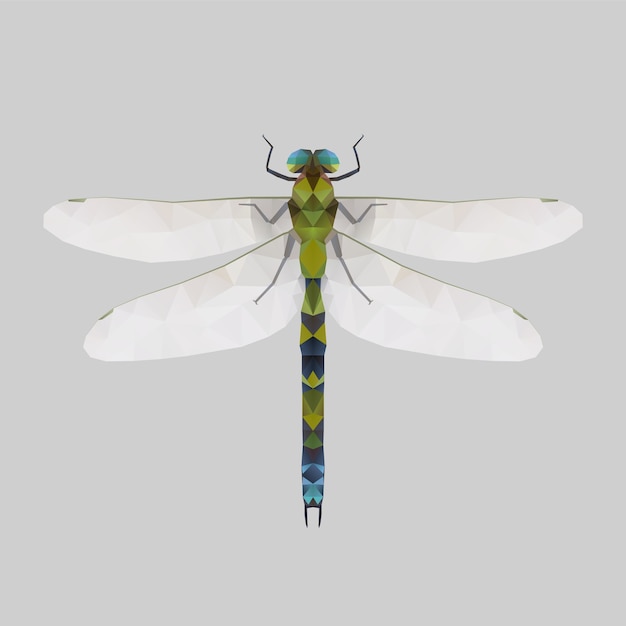 Dragonfly, Low Poly Ilustracja