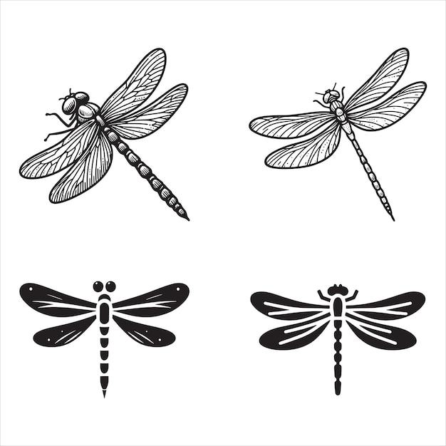 Dragonfly SVG Bundle 1