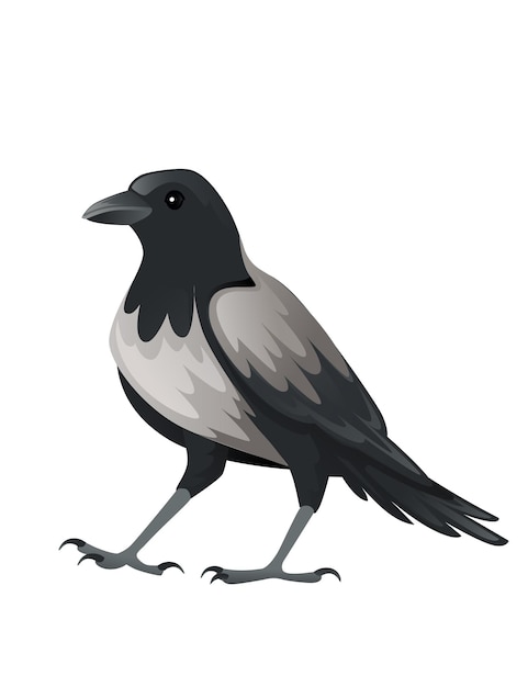 Plik wektorowy drapieżny ptak dorosły czarny i szary kruk kreskówka projekt zwierzę ptaki drapieżne charakter płaski wektor ilustracja na białym tle