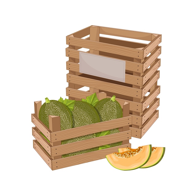 Plik wektorowy drewniane pudełko pełne melona