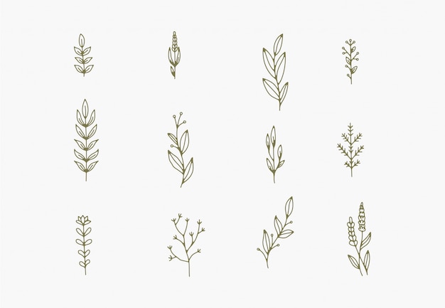 drobne proste ilustracje botaniczne, grafika liniowa, minimalne elementy projektu. eleganckie i delikatne gryzmoły roślinne