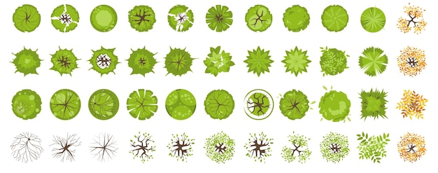 Plik wektorowy drzewa widok z góry różne kolorowe rośliny i drzewa wektor zestaw do projektowania architektonicznego i krajobrazowego