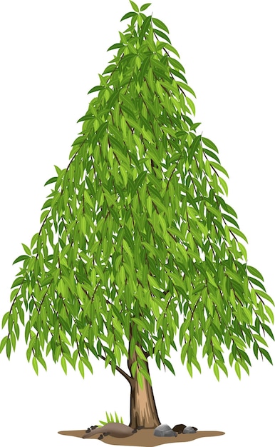 Plik wektorowy drzewko bonsai
