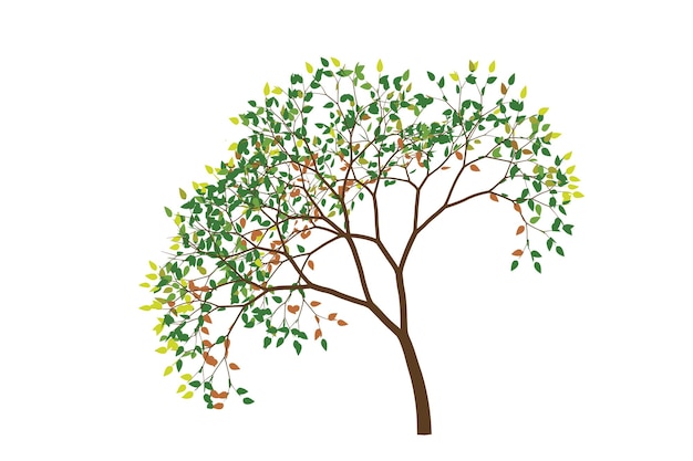 Drzewo Ilustracji Dla Kreskówek