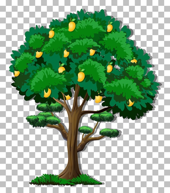 Plik wektorowy drzewo mango na przezroczystym tle