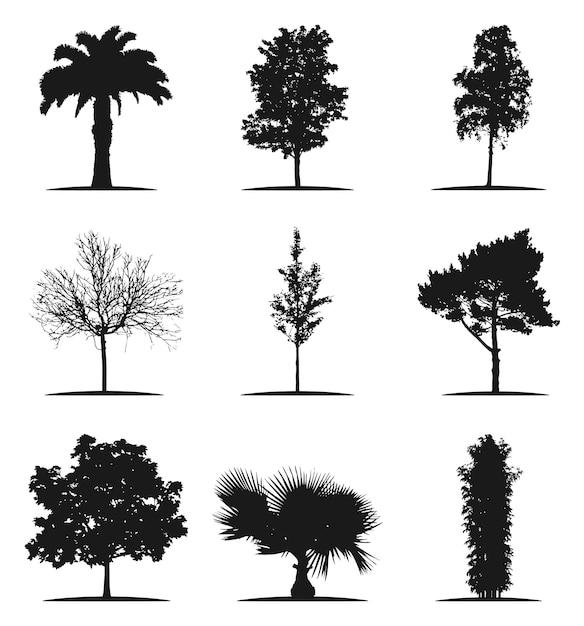 Drzewo Sylwetka Wektor Ilustracja Drzewa
