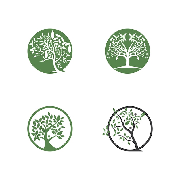 Drzewo Wektor Ręcznie Rysowane Ilustracja Szablonu Projektu Wektora Drzewa Oliwnego