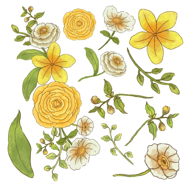 Duży Botaniczny Zestaw Dzikich Kwiatów Zestaw Oddzielnych Części I Zebranie Razem W Piękny Bukiet Kwiatów W Stylu Akwareli Na Białym Tle Płaskiej Ilustracji Wektorowych