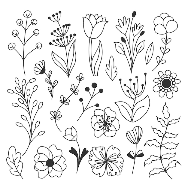 Plik wektorowy duży wektor zestaw kwiatów ręcznie rysowane kwiat i oddział doodle oddziałów płatki roślin kwitnących