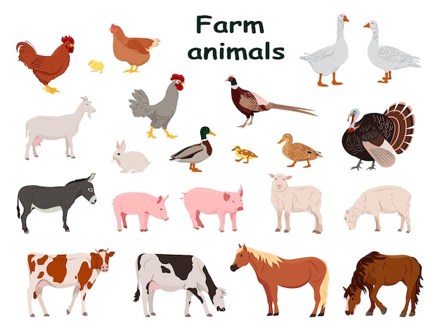 Plik wektorowy duży zestaw zwierząt gospodarskich i ptaków domowych kraj zwierzę na białym tle znak na białym tle