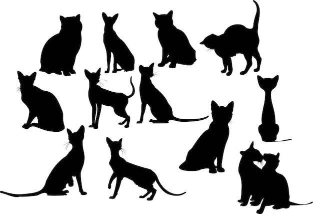 Dwanaście sylwetek kotów Ilustracja wektorowa