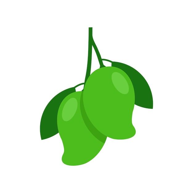 Dwie zielone mango ilustracji wektorowych izolowane na białym tle