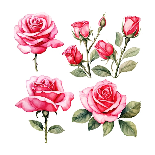 Dzień Kobiet Różowy Akwarelowy