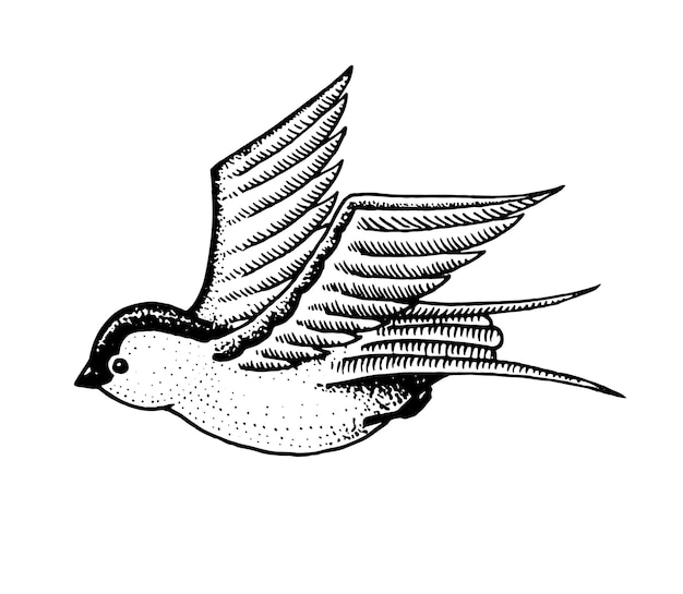 Dziki ptak jaskółka Symbol wolności Mody patch tatuaż grafika dla dziewczyn grawerowane ręcznie rysowane w stary szkic vintage wektor ilustracja surrealistyczne odznaki nadruk na tshirt
