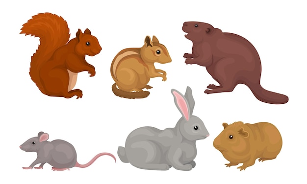 Dzikie gryzoni, wiewiórki, myszy, bobry, króliki, szarańcze, ilustracja wektorowa
