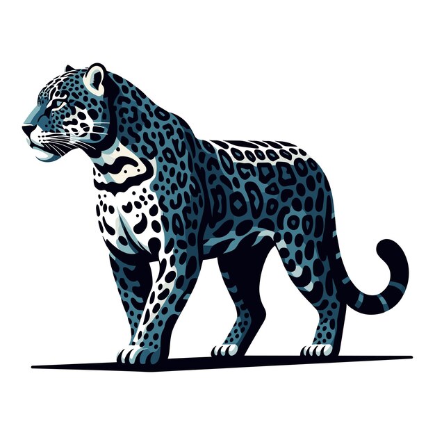 Dzikie Jaguary, Leopardy, Całe Ciało, Ilustracja Wektorowa, Zoologia, Ilustracja, Drapieżnik Zwierzęcy