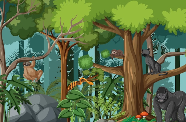 Dzikie Zwierzęta W Leśnej Scenerii Przyrody