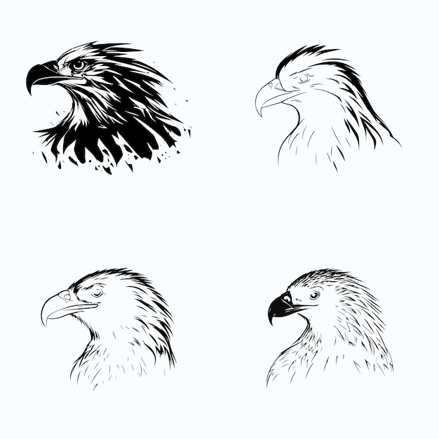 Eagle Vector