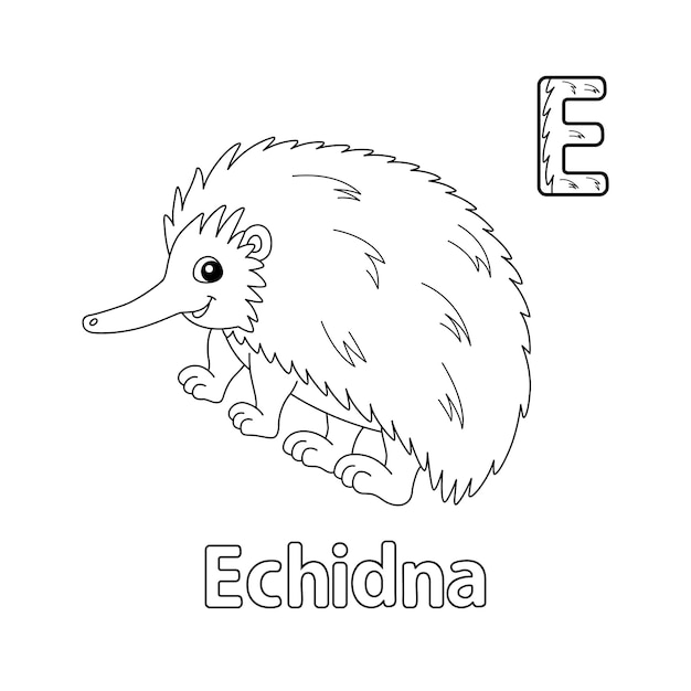 Echidna Alfabet Abc Kolorowanki Strona E