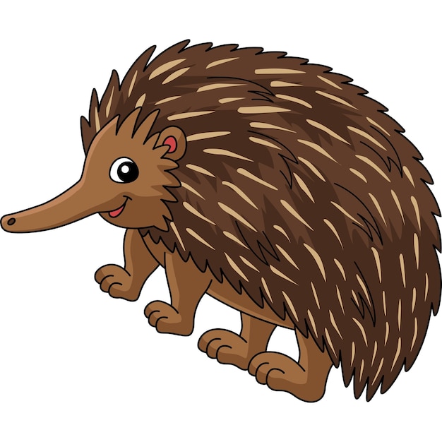 Plik wektorowy echidna animal cartoon kolorowe rysunki