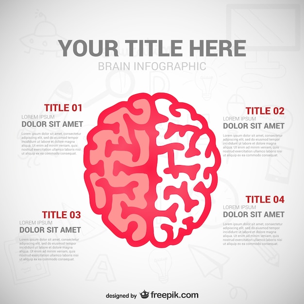 Edukacja Infography