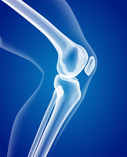 Edukacyjna ilustracja medyczna kości nóg