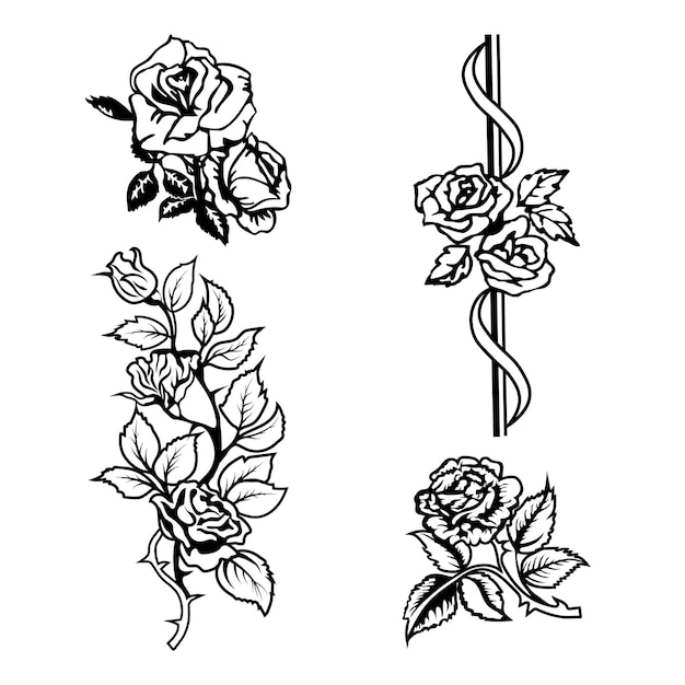 Edytowalny zestaw czterech wektorowych róż clipart na białym tle EPS10