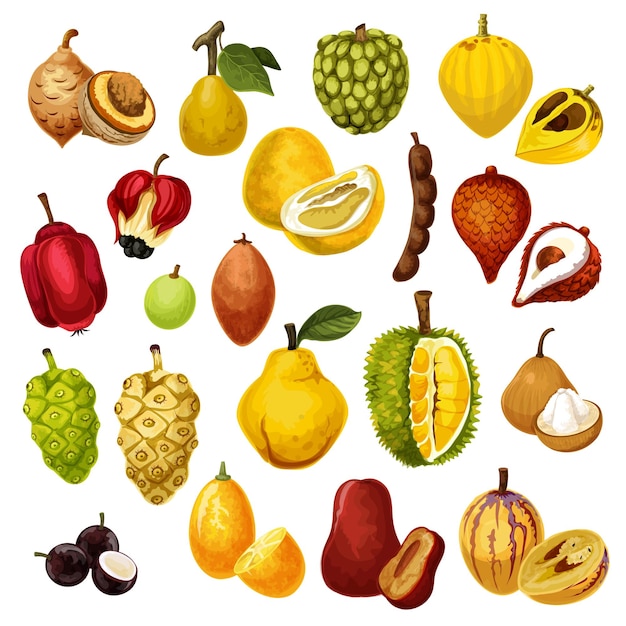 Plik wektorowy egzotyczne owoce tropikalne wektorowe ikony
