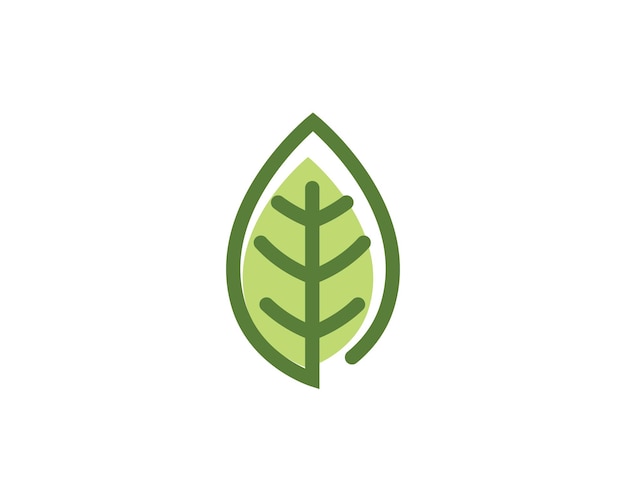 Ekologia Liści Natura Szablon Logo