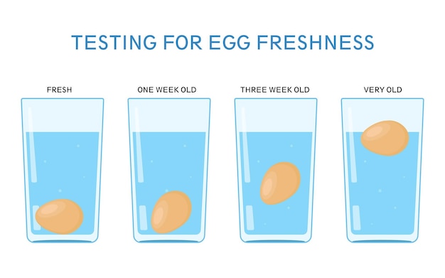 Plik wektorowy eksperyment naukowy z wodą badanie świeżości jaj