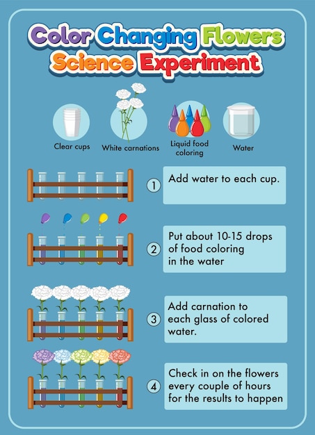Eksperyment Naukowy Zmieniający Kolor Kwiatów