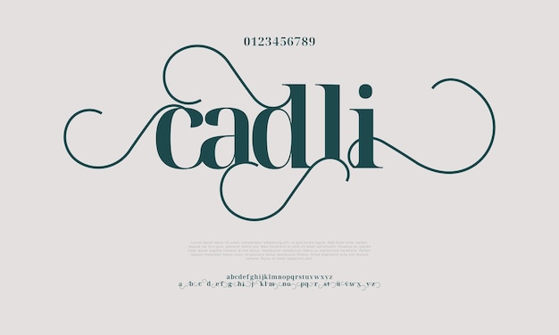 Plik wektorowy elegancka, luksusowa czcionka i numer litery alfabetu klasyczne litery minimalna typografia mody