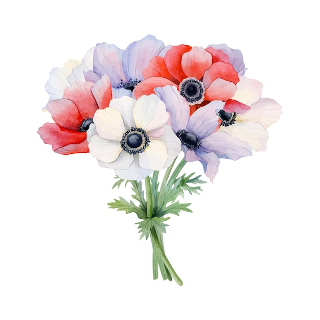Elegancki bukiet fioletowych, białych i czerwonych kwiatów anemonu ilustracja wektorowa akwarelu
