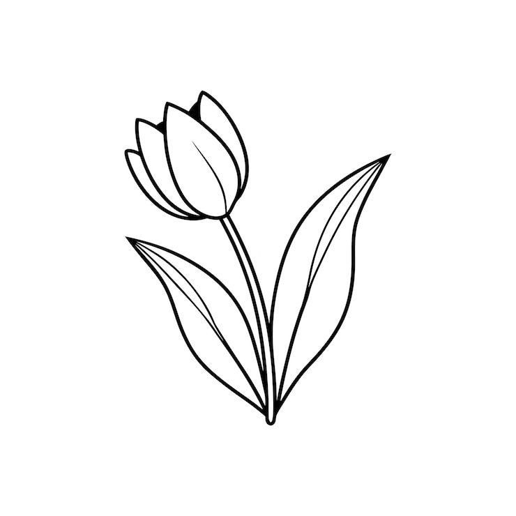 Wektor elegant tulip line art silhouette vector flower tropikalny tulipan kwitnący single line art