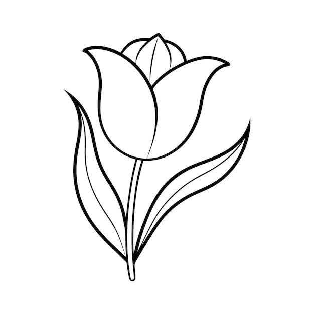 Elegant Tulip Line Art Silhouette Vector Flower tropikalny tulipan kwitnący single line art