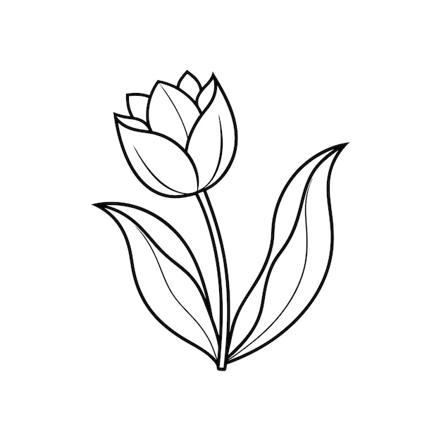 Elegant Tulip Line Art Silhouette Vector Flower tropikalny tulipan kwitnący single line art