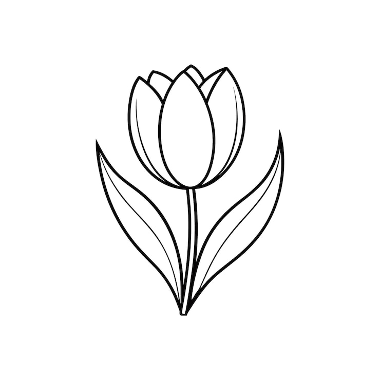 Wektor elegant tulip line art silhouette vector flower tropikalny tulipan kwitnący single line art